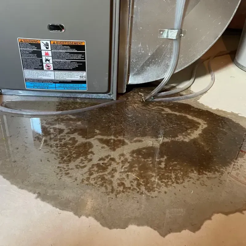 Appliance Leak Cleanup in Washington County, PA